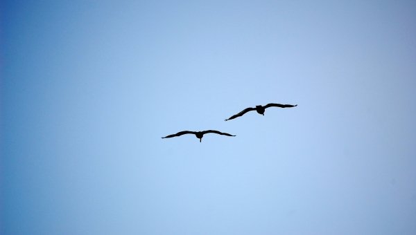 Η σημασία του να είσαι απλός